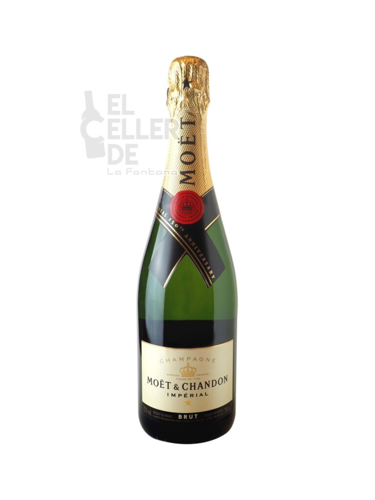 Moet Chandon Champagne magnun