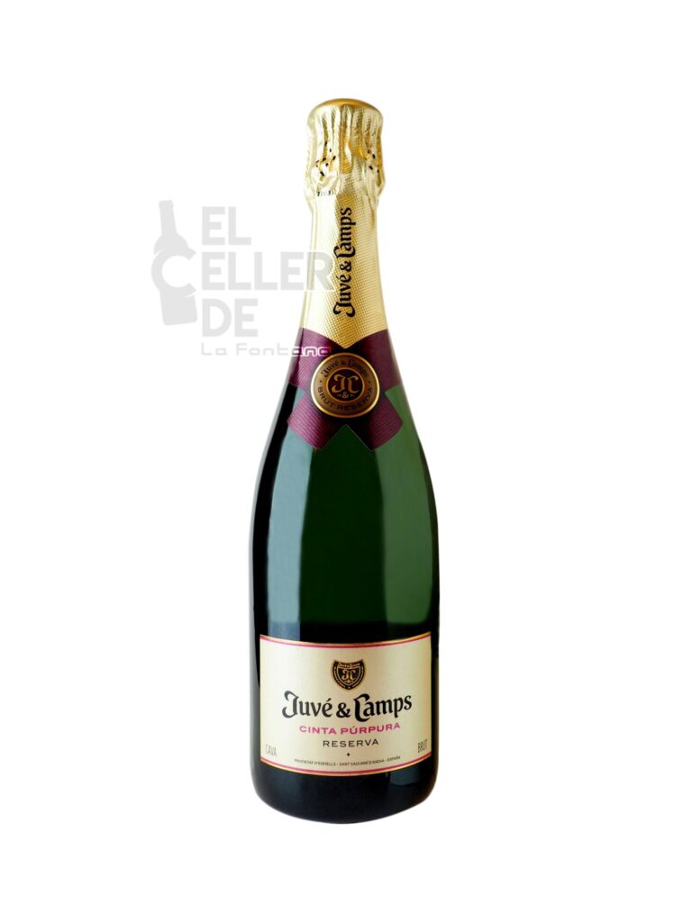 Cava Juve Camps Brut Rva